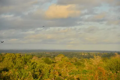 DSC_4329 (Large).JPG